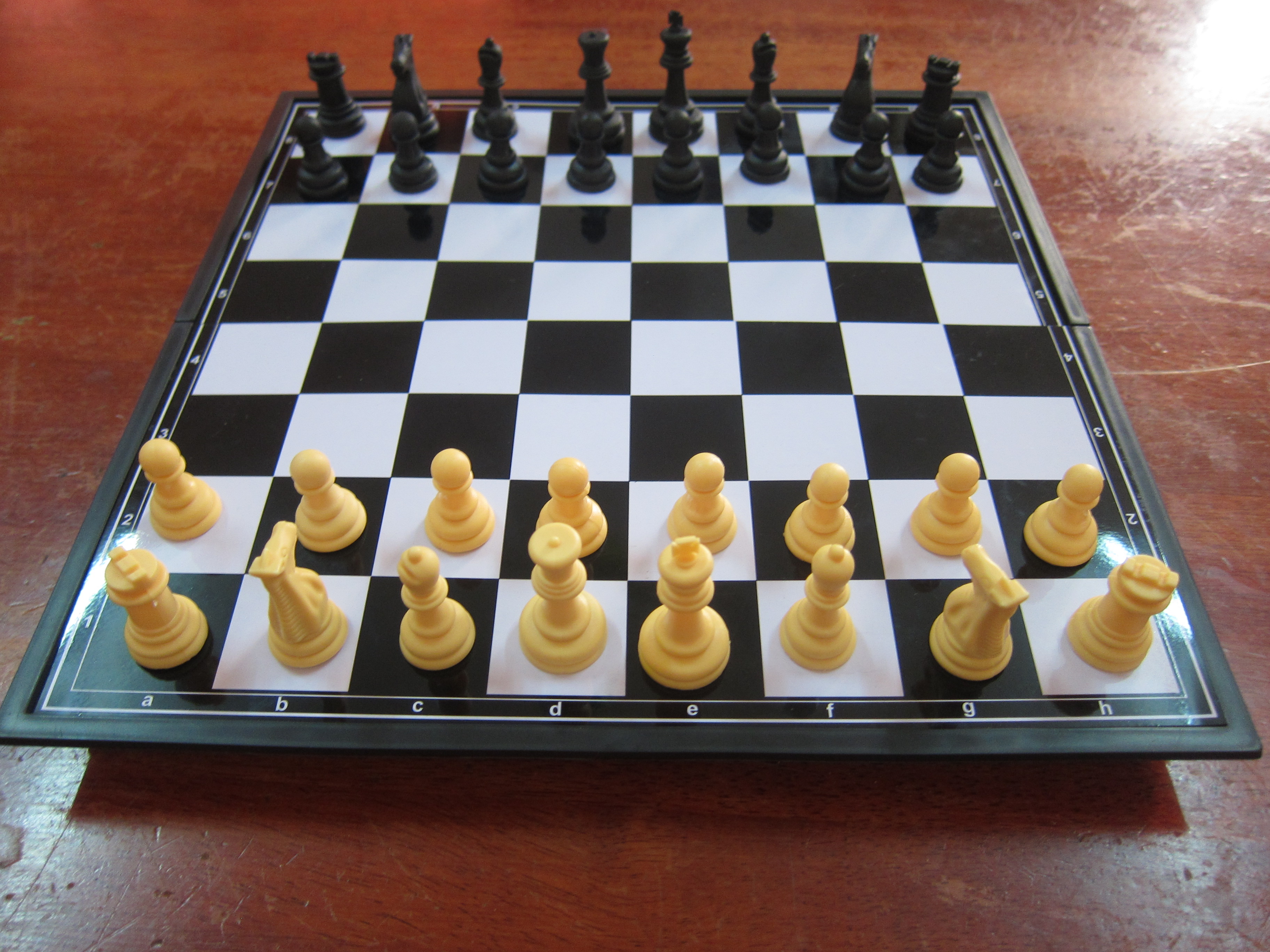 Dekagro Group Backs World Chess Champion Stavroula Tsolakidou