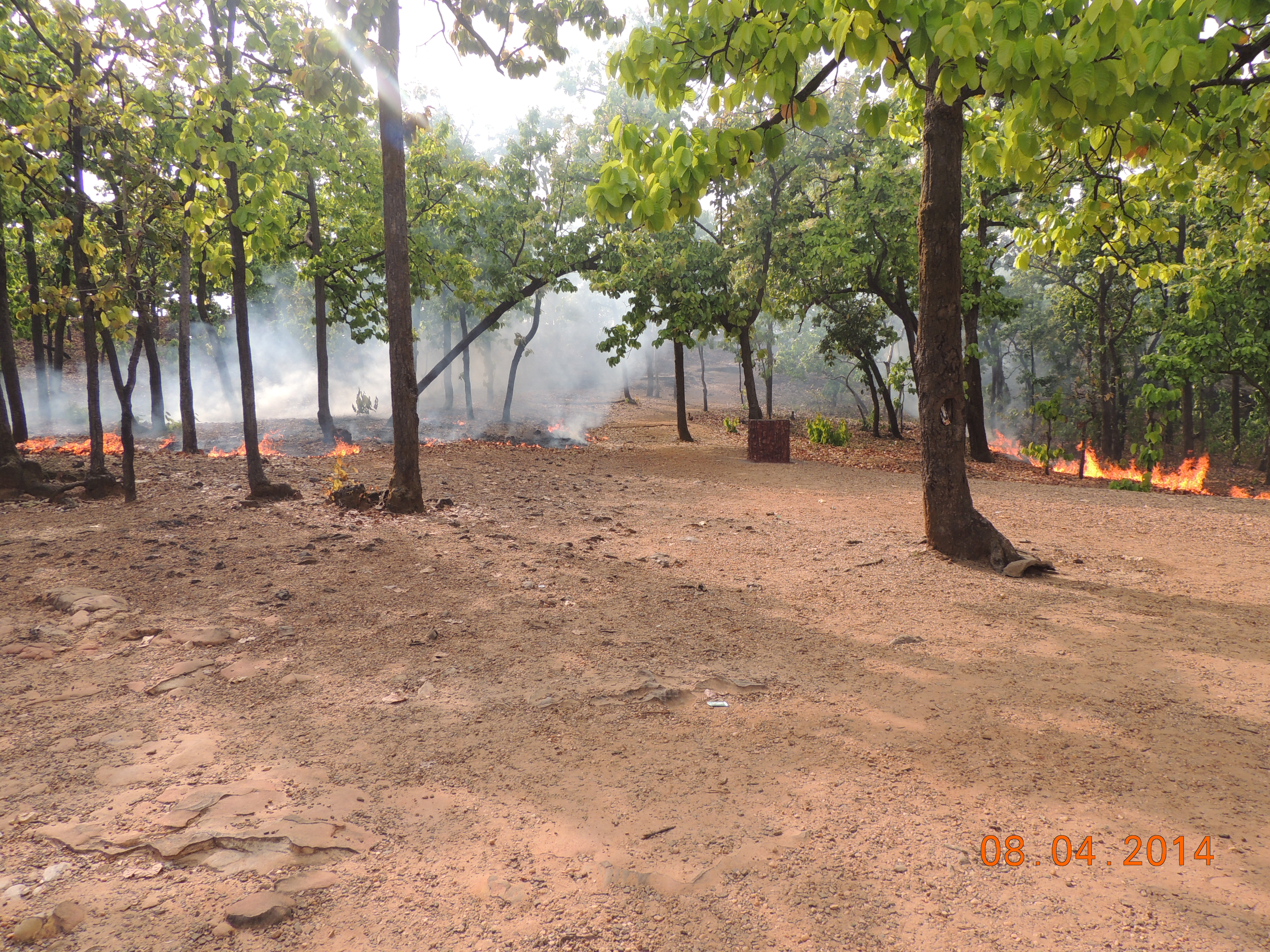Small Wildfire Near Krinides Brought Under Control